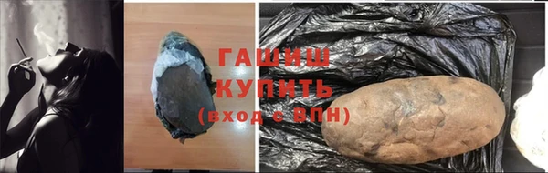 PSILOCYBIN Алзамай