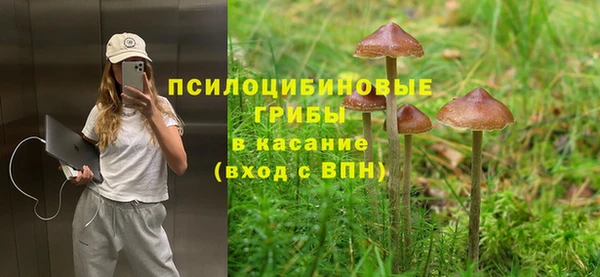 а пвп мука Алексеевка