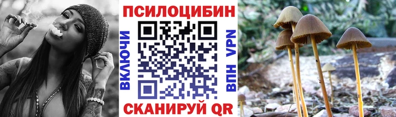 Псилоцибиновые грибы мицелий  где купить   Железногорск-Илимский 